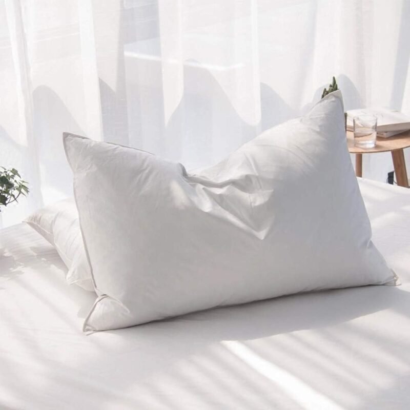 Luxury Feathers Down Pillows Queen Size Set of 2, Hotel Quality Fluffy Bed Pillows, Soft Pillows for Sleeping, Organic Cotton Cover(20x28”, Pack of 2)