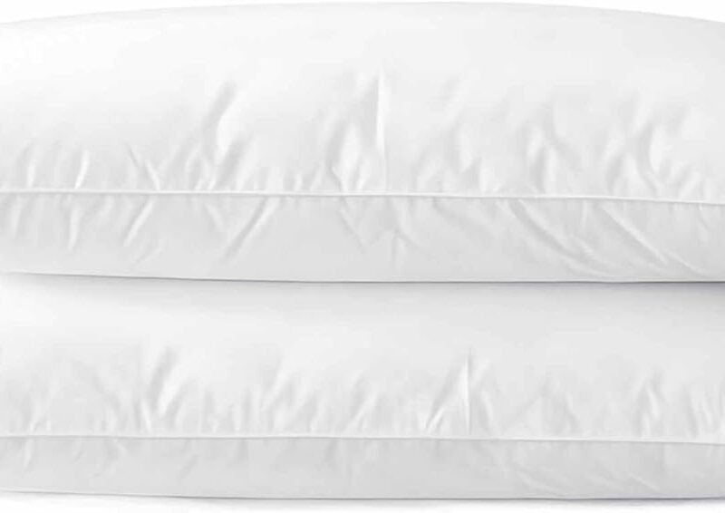 Ultra Thin Flat Soft Bed Pillows Standard Size Set of 2 Pack for Sleeping 20"x26", Hypoallergenic Skin Friendly Machine Washable