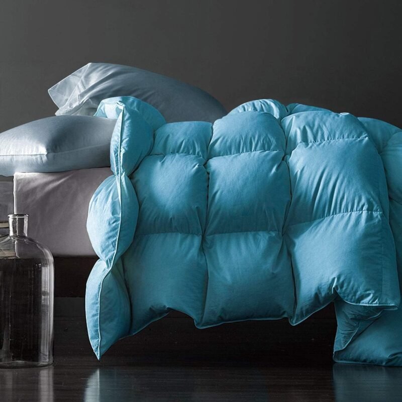 Premium Feathers Down Comforter King Size Turquoise Heavyweight Thickened 100% Cotton Cover Winter Duvet Insert with Corner Tabs (106x90, 60 oz)