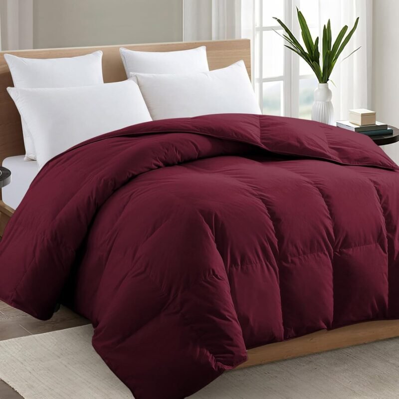Queen Burgandy Comforter,All Season Quilted Down Alternative Duvet Insert with Corner Tabs, Breathable Bed Comforter, Summer Warm,Burgandy (88"x88")